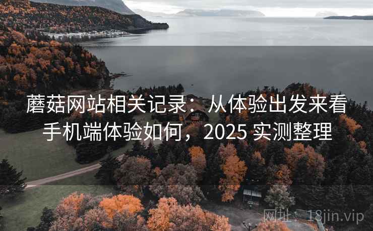 蘑菇网站相关记录：从体验出发来看手机端体验如何，2025 实测整理