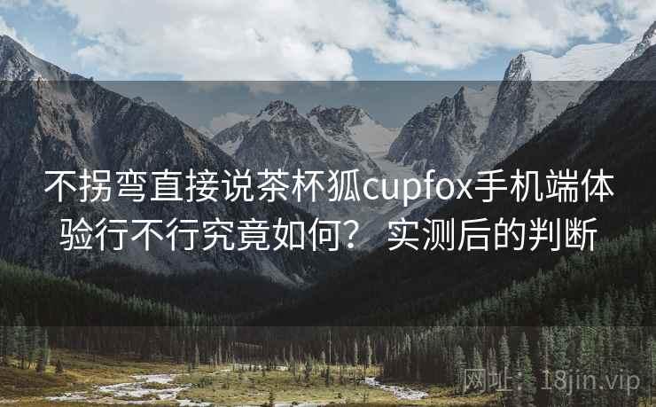 不拐弯直接说茶杯狐cupfox手机端体验行不行究竟如何？ 实测后的判断
