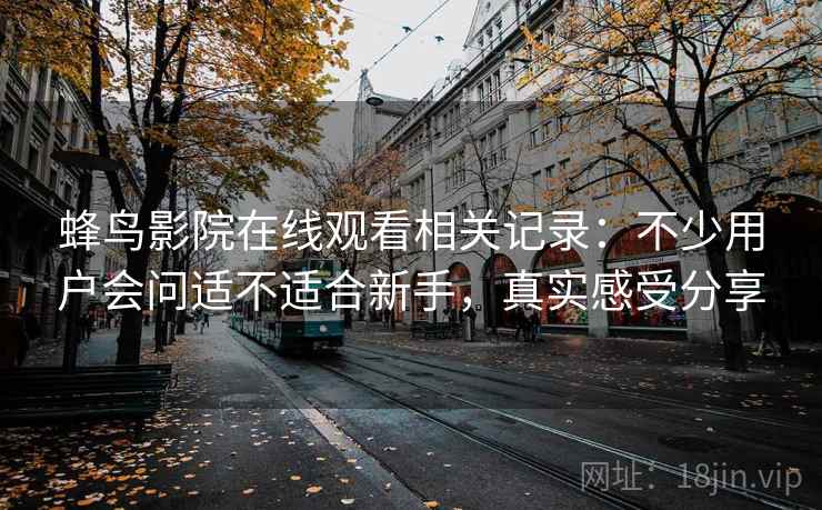 蜂鸟影院在线观看相关记录：不少用户会问适不适合新手，真实感受分享