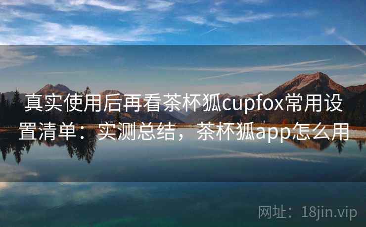 真实使用后再看茶杯狐cupfox常用设置清单：实测总结，茶杯狐app怎么用