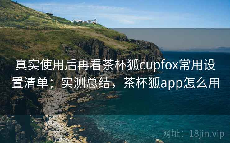 真实使用后再看茶杯狐cupfox常用设置清单：实测总结，茶杯狐app怎么用