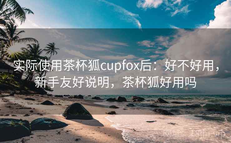 实际使用茶杯狐cupfox后：好不好用，新手友好说明，茶杯狐好用吗